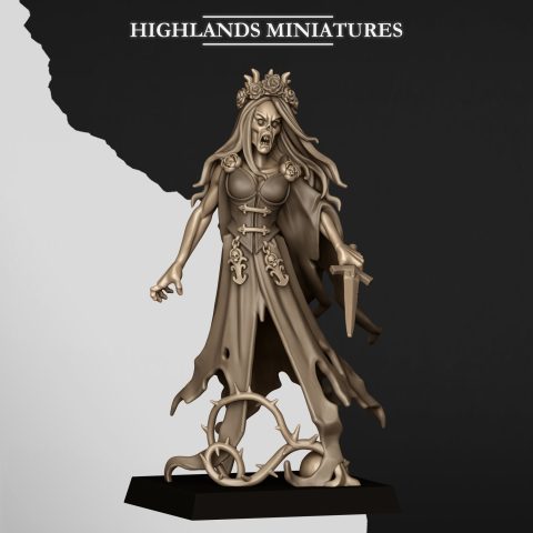 2 Sorrow Banshees fantasy wargaming 28mm designed by Highlands Miniatures and 3D printed by Forgemaster Miniatures 1